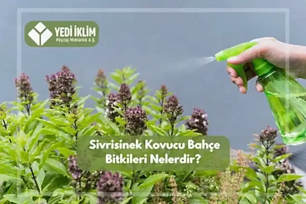 Sivrisinek Kovucu Bahçe Bitkileri Nelerdir?