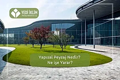 Yapısal Peyzaj Nedir, Ne İşe Yarar?