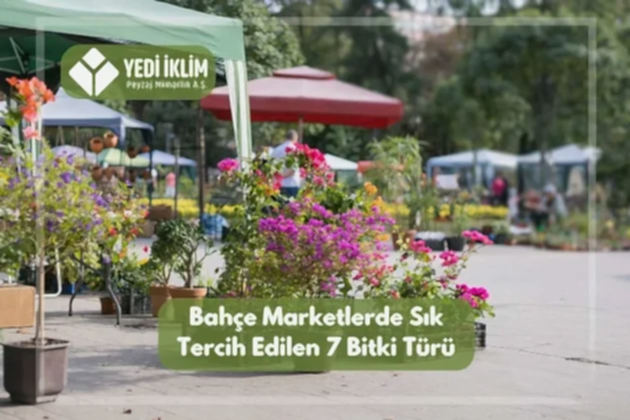Bahçe Marketlerde Sık Tercih Edilen 7 Bitki Türü