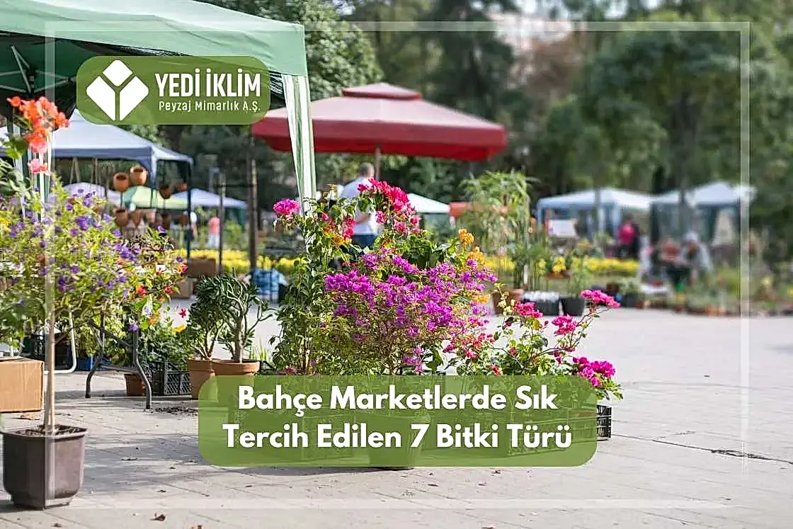 Bahçe Marketlerde Sık Tercih Edilen 7 Bitki Türü