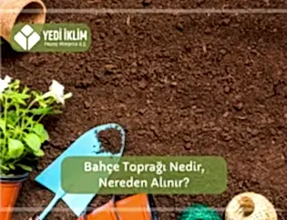 Bahçe Toprağı Nedir, Nereden Alınır?