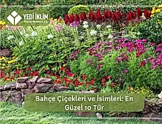 Bahçe Çiçekleri ve İsimleri 1