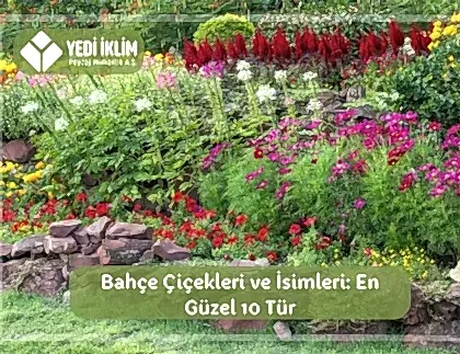 Bahçe Çiçekleri ve İsimleri 1