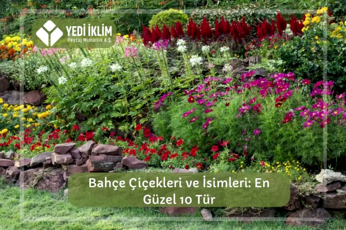 Bahçe Çiçekleri ve İsimleri 1