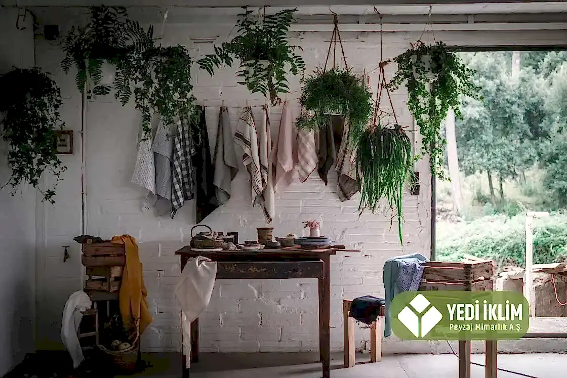 Gölgede Yetişen Saksı Çiçekler