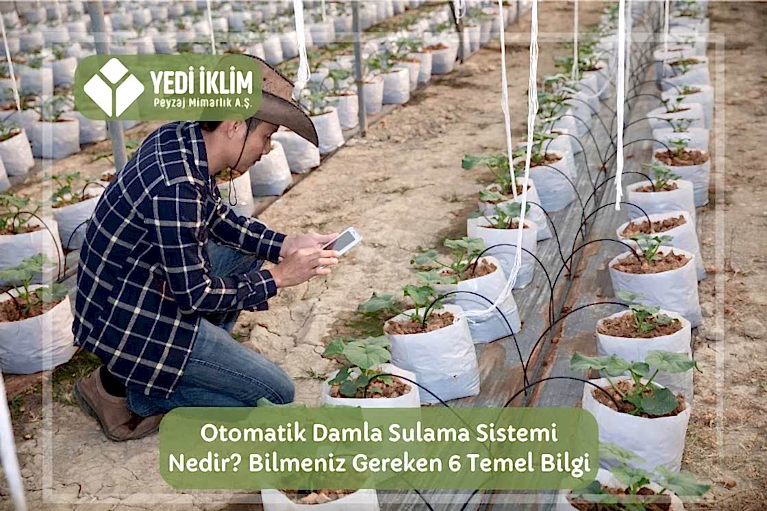 Otomatik Damla Sulama Sistemi