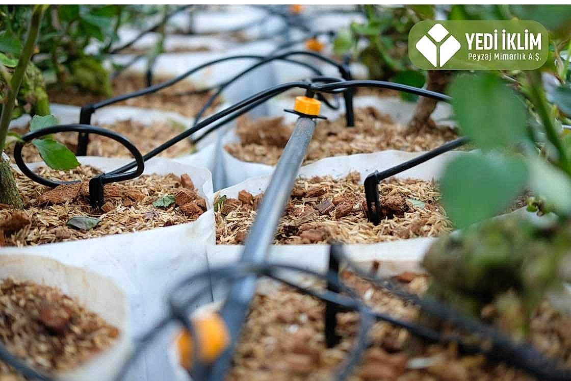 Otomatik Damla Sulama Sistemi