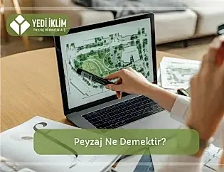Peyzaj ne demek