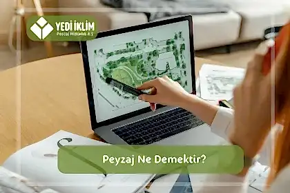 Peyzaj ne demek